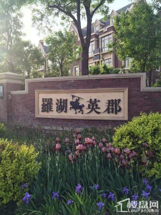 罗湖英郡实景图